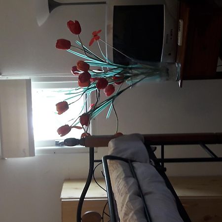 Palmita Hotel Hostel Oranjestad Zewnętrze zdjęcie