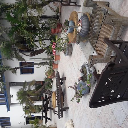 Palmita Hotel Hostel Oranjestad Zewnętrze zdjęcie