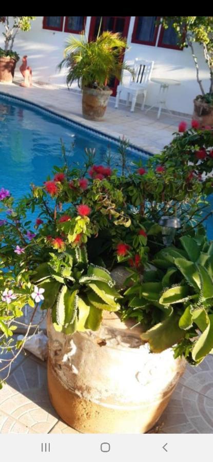 Palmita Hotel Hostel Oranjestad Zewnętrze zdjęcie