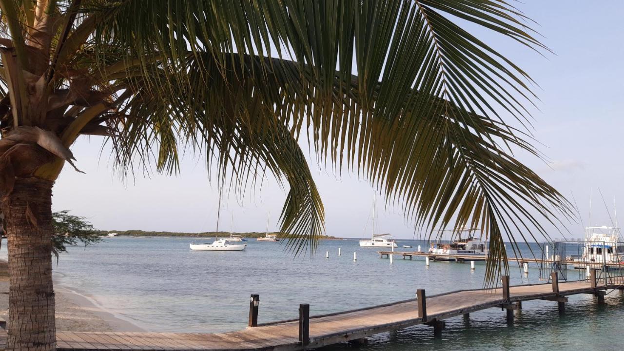 Palmita Hotel Hostel Oranjestad Zewnętrze zdjęcie