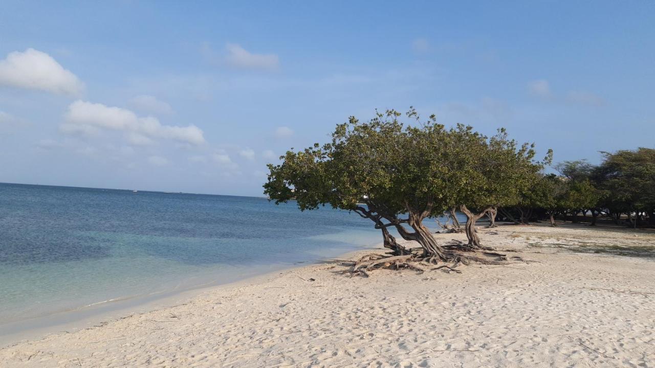 Palmita Hotel Hostel Oranjestad Zewnętrze zdjęcie