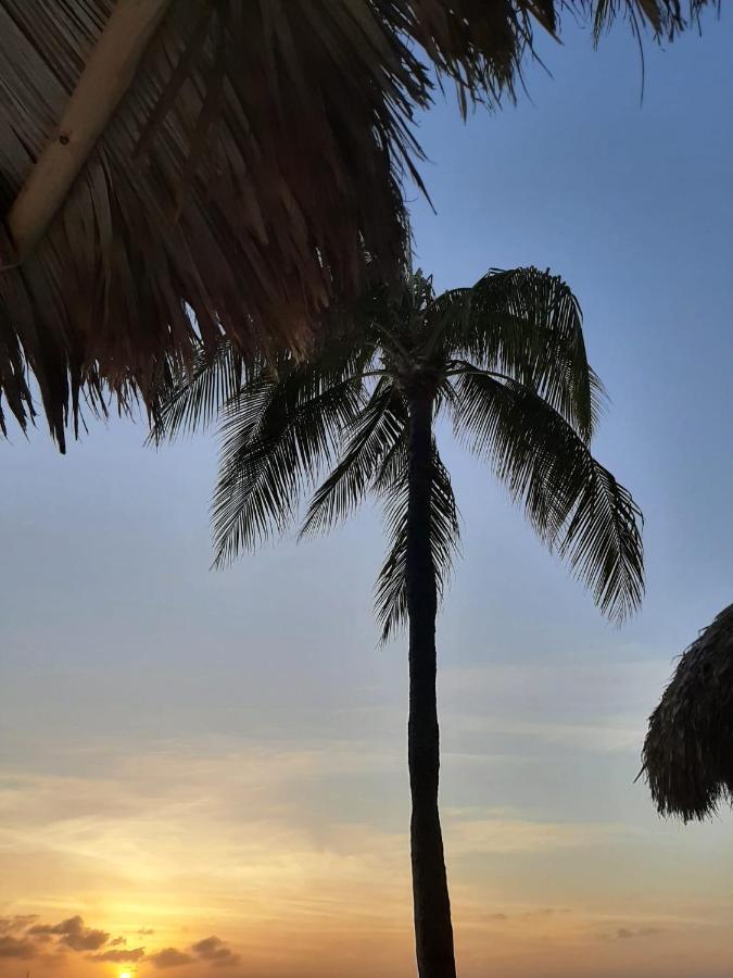Palmita Hotel Hostel Oranjestad Zewnętrze zdjęcie