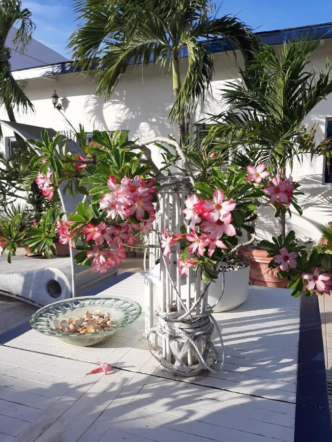 Palmita Hotel Hostel Oranjestad Zewnętrze zdjęcie