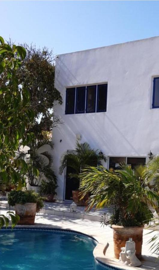 Palmita Hotel Hostel Oranjestad Zewnętrze zdjęcie