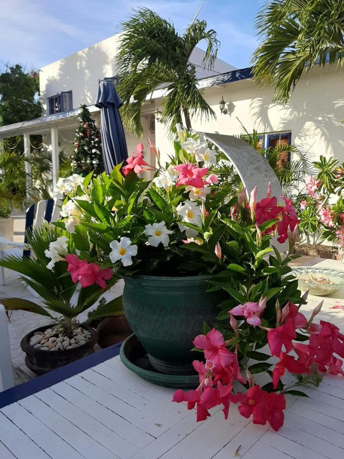 Palmita Hotel Hostel Oranjestad Zewnętrze zdjęcie