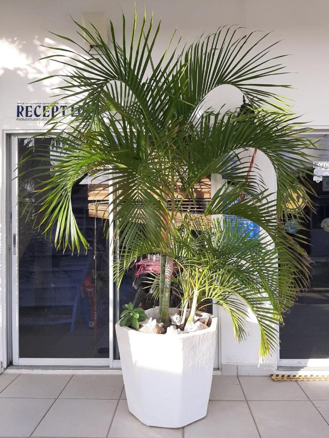 Palmita Hotel Hostel Oranjestad Zewnętrze zdjęcie