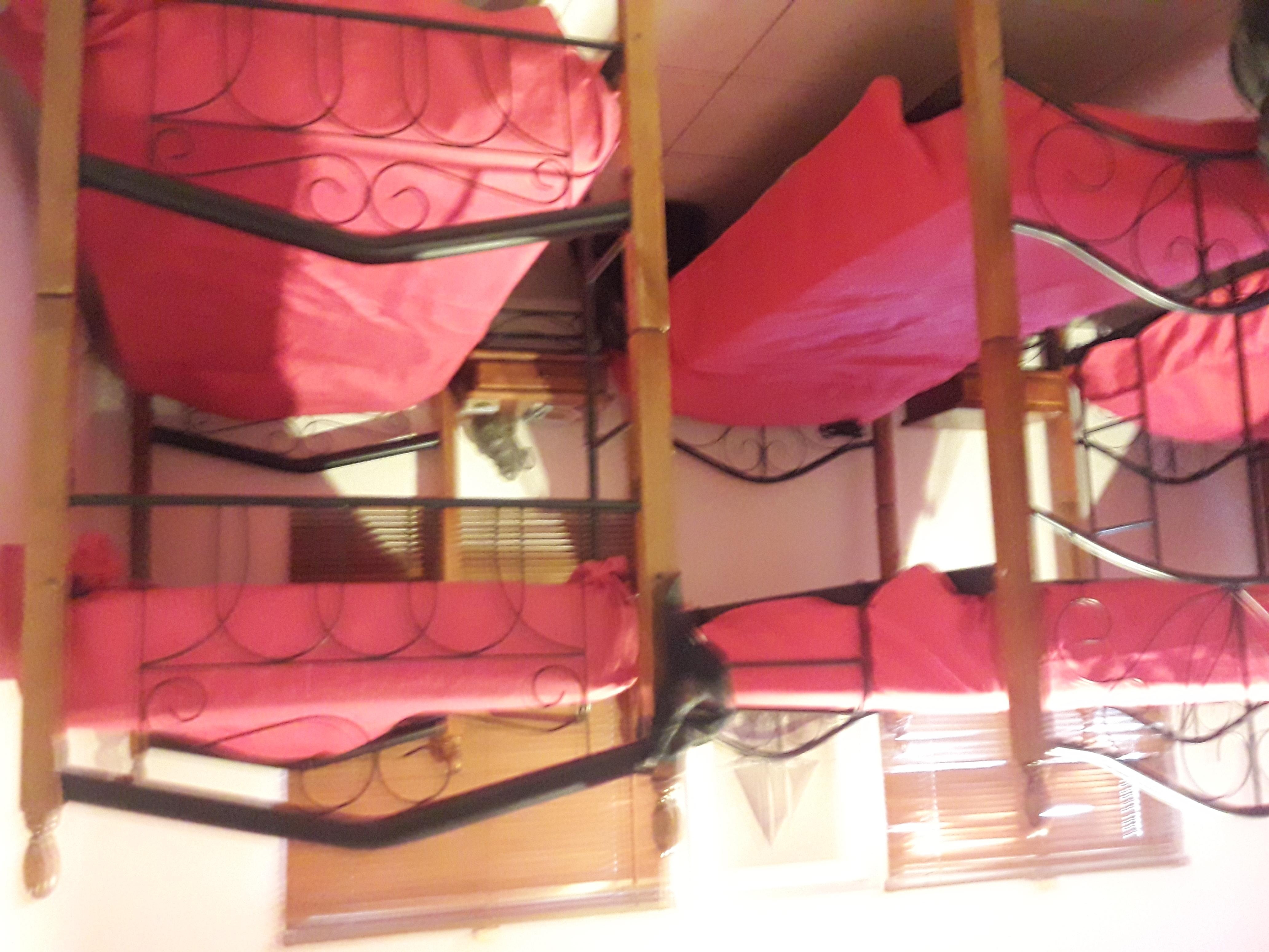 Palmita Hotel Hostel Oranjestad Zewnętrze zdjęcie