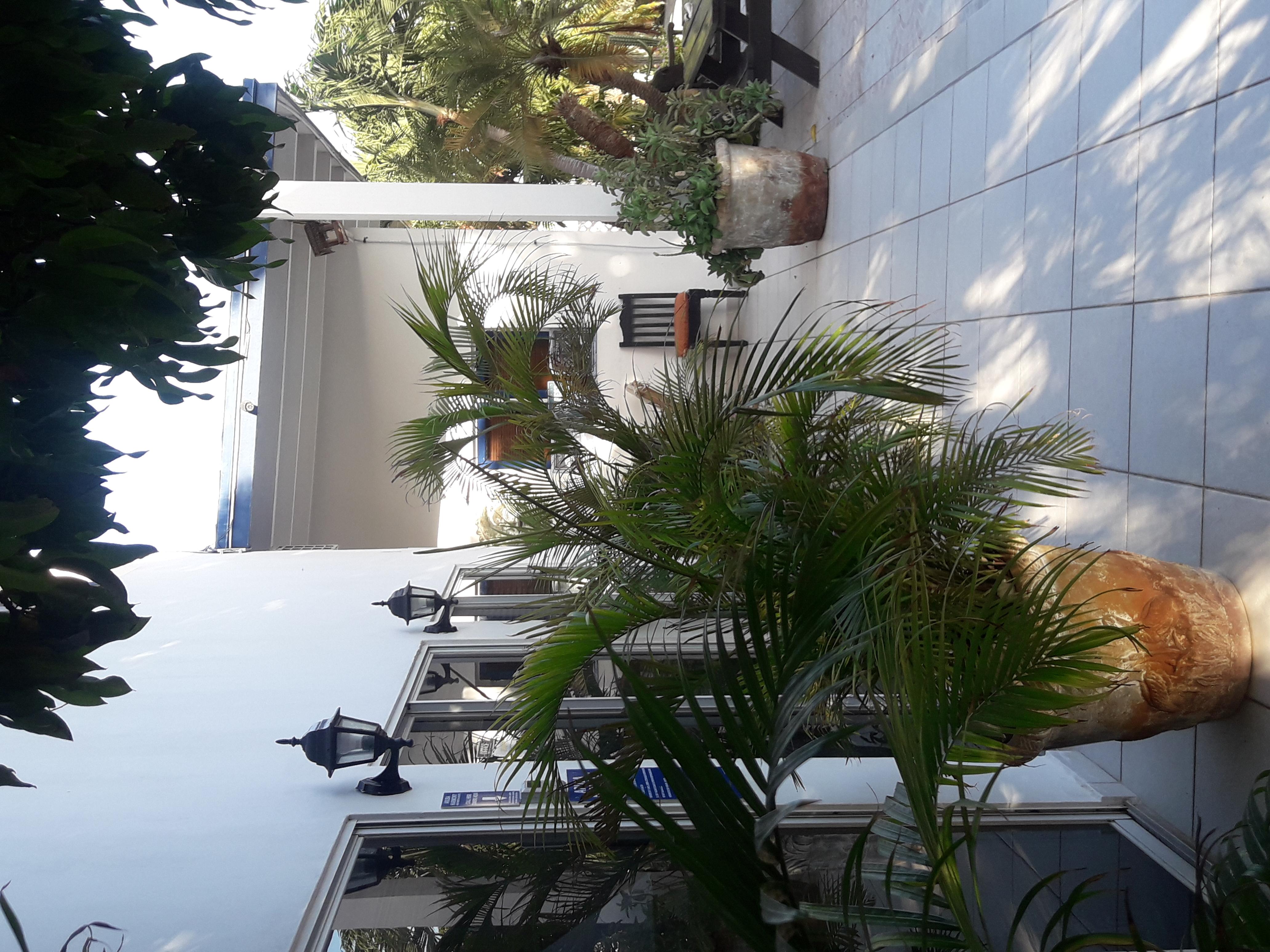 Palmita Hotel Hostel Oranjestad Zewnętrze zdjęcie