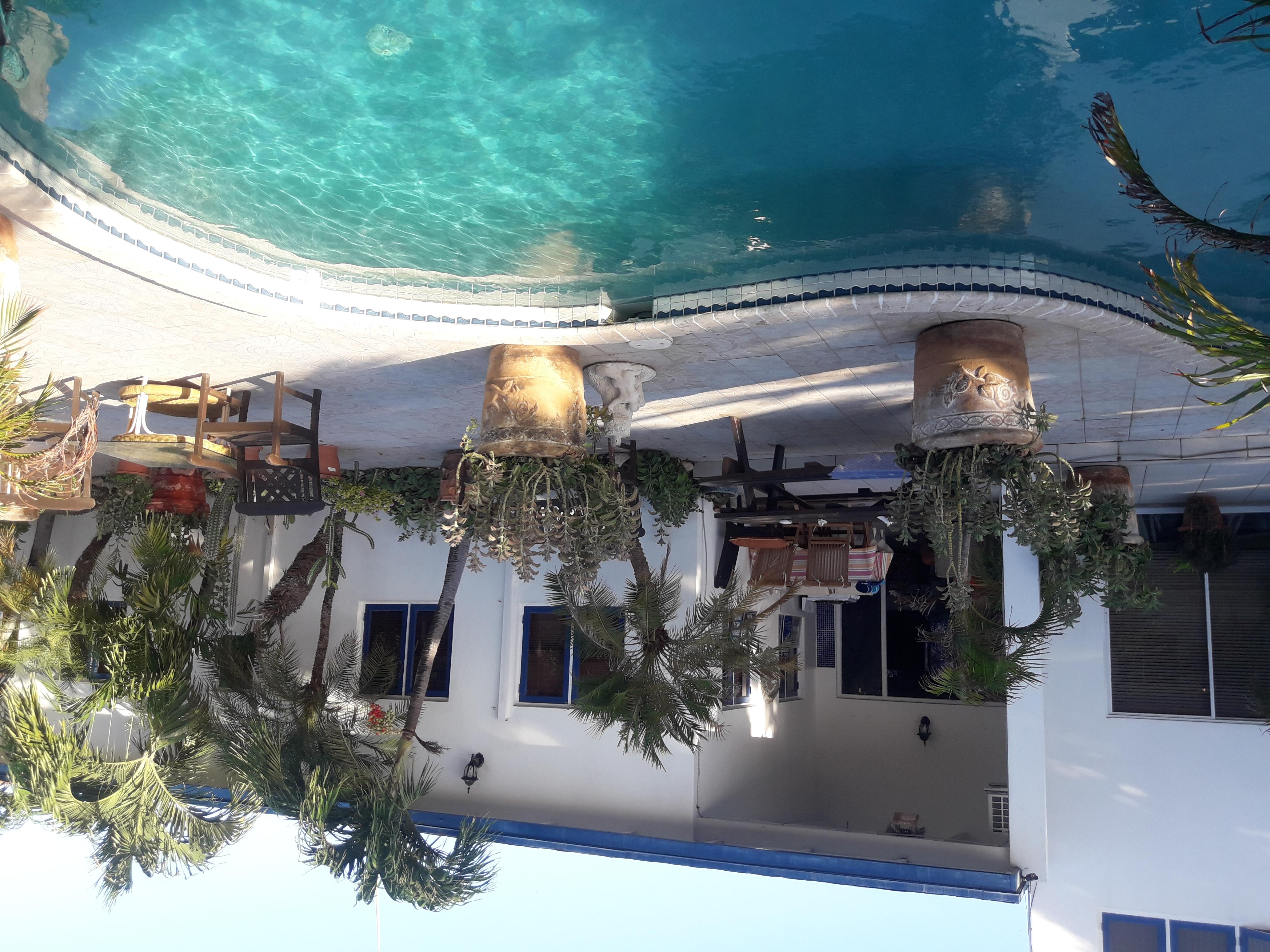 Palmita Hotel Hostel Oranjestad Zewnętrze zdjęcie
