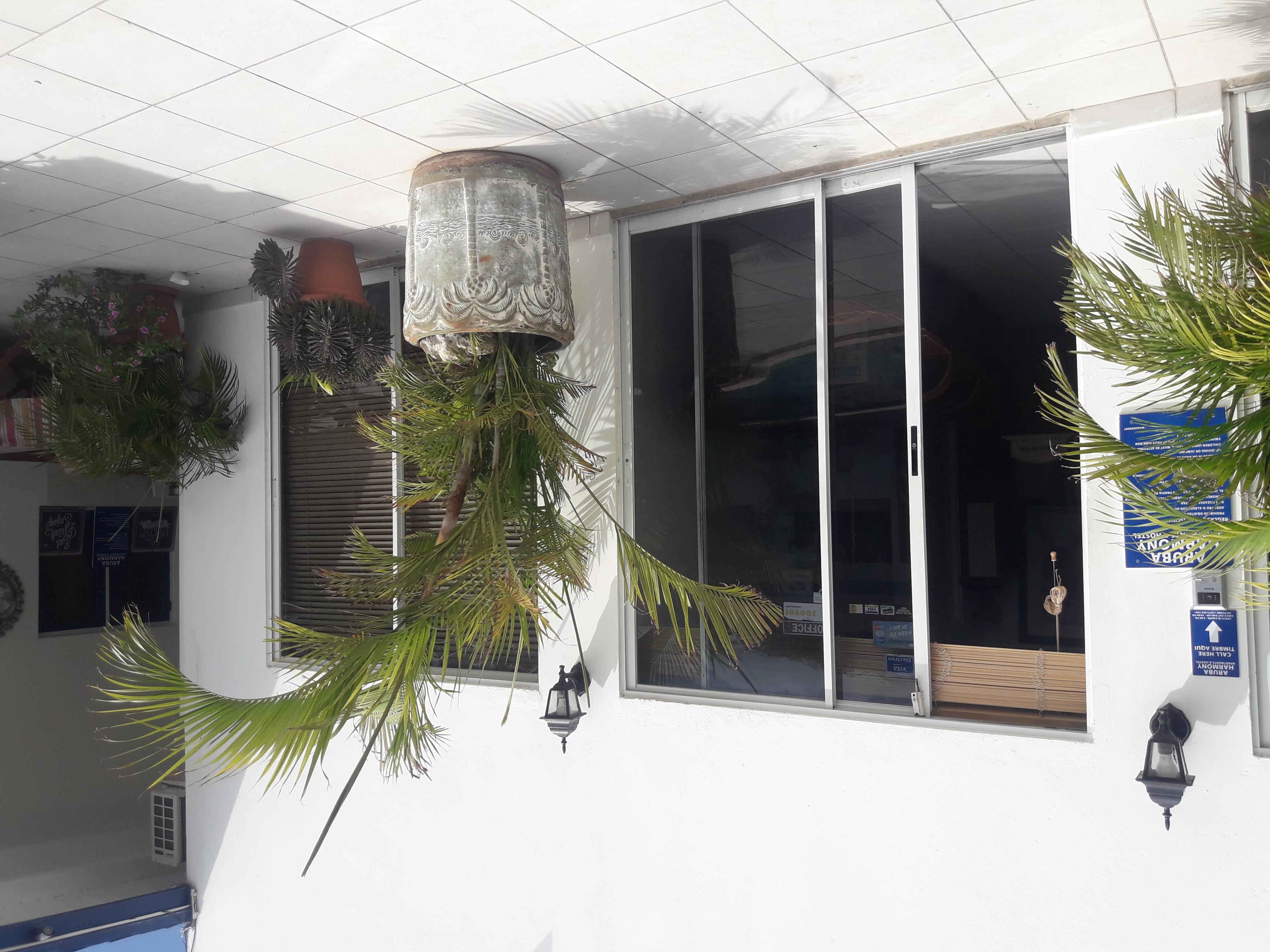 Palmita Hotel Hostel Oranjestad Zewnętrze zdjęcie