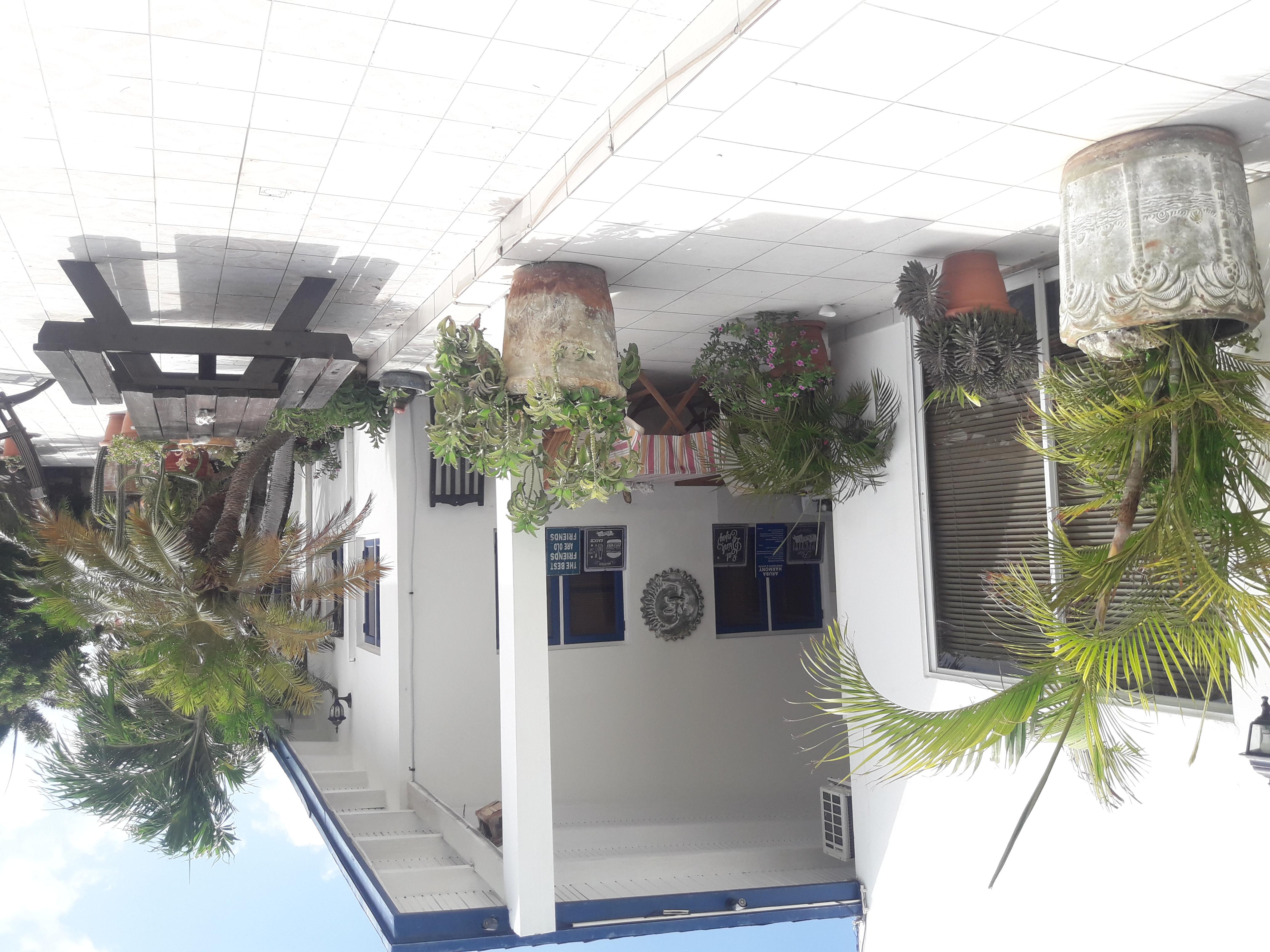 Palmita Hotel Hostel Oranjestad Zewnętrze zdjęcie