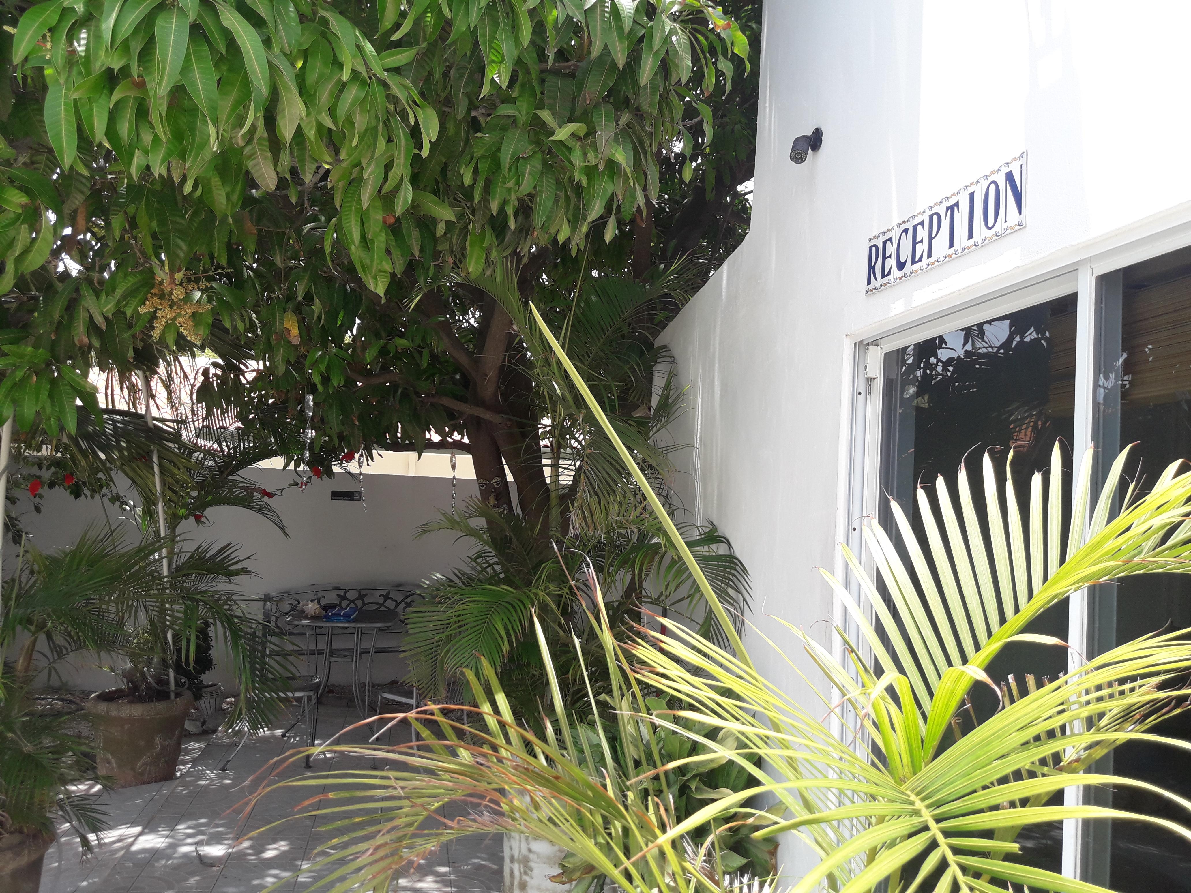 Palmita Hotel Hostel Oranjestad Zewnętrze zdjęcie