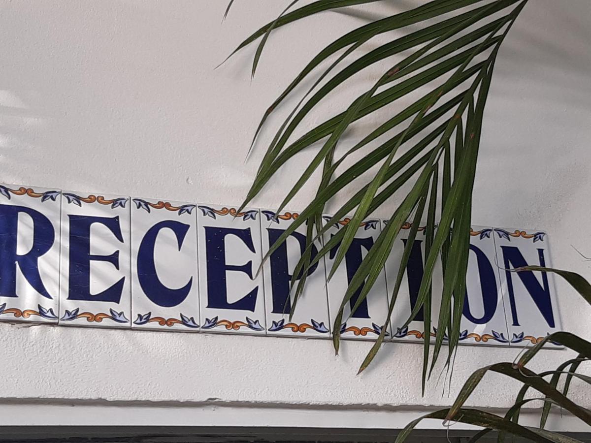 Palmita Hotel Hostel Oranjestad Zewnętrze zdjęcie