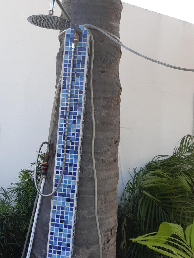 Palmita Hotel Hostel Oranjestad Zewnętrze zdjęcie