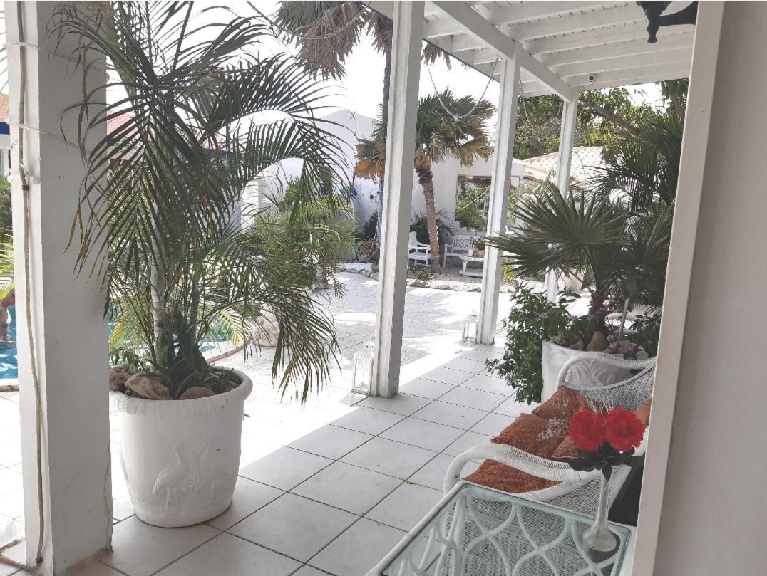 Palmita Hotel Hostel Oranjestad Zewnętrze zdjęcie